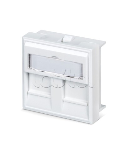 Вставка 45x45 (аналог Mosaic) для 2 модулей формата Keystone Jack Cabeus FP-45-2M в Кирове Модули Keystone Pintop.ru